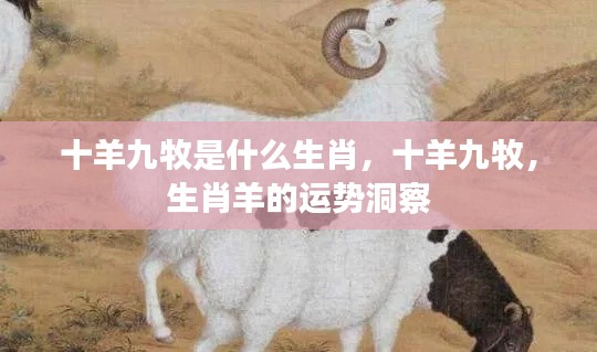 十羊九牧背后的生肖运势洞察