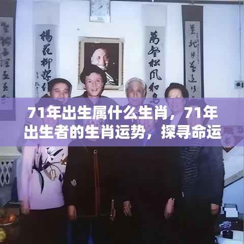 71年属相揭秘,生肖运势与命运之星背后的秘密探索