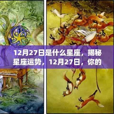 揭秘12月27日星座运势,你的星座运势如何?