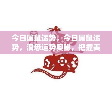今日属鼠运势详解,洞悉运势奥秘,把握美好机遇,迎接好运降临!