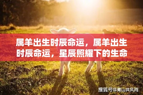 星辰照耀下的属羊命运篇章,揭秘不同出生时辰的命运走向