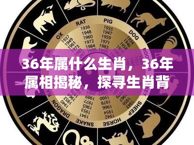 揭秘生肖奥秘，探寻属相运势之秘，揭秘生肖属相背后的运势奥秘（针对属相为鼠的生肖）