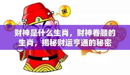 揭秘财神眷顾的生肖,财运亨通的秘密探索