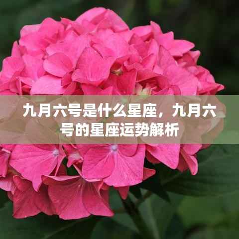 九月六号星座运势解析，探寻属于你的星座运势秘密
