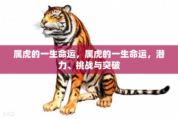 属虎人的命运轨迹，潜力、挑战与突破探索