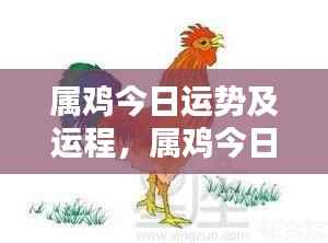 属鸡今日运势详解及运程预测
