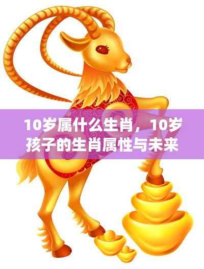 10岁孩子的生肖属性与未来运势展望