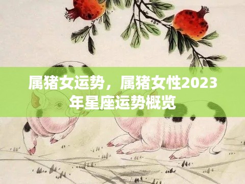 属猪女性2023年运势概览,星座运势展望