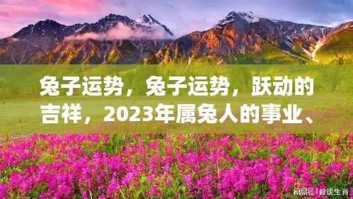 2023年属兔人的事业、财富与健康运势详解,跃动的吉祥运势展望