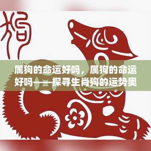 属狗的命运奥秘探寻，生肖狗的运势解析