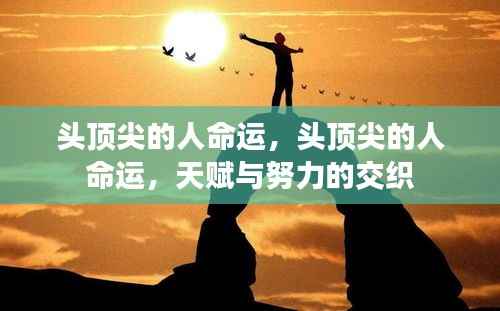 头顶尖的人的天赋与努力,命运交织之路的探索