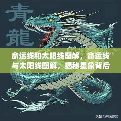 命运线与太阳线图解，揭秘星象奥秘与深层含义探索