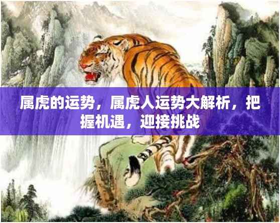 删繁就简 第6页