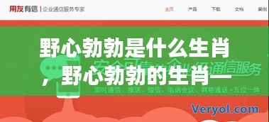 野心勃勃的生肖探寻,成功之星引领力量揭秘