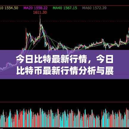 今日比特币行情概览,最新分析与未来展望