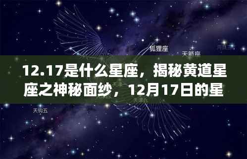 揭秘黄道星座之神秘面纱,12月17日星座运势解析及星座属性探讨