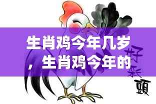 生肖鸡的年龄与运势解读,今年的挑战与机遇分析