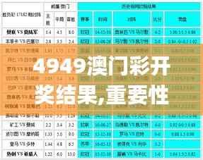 4949澳门彩开奖结果,重要性解释落实方法_3K13.207