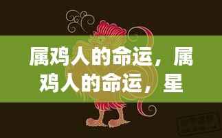 属鸡人的命运展望,星光指引前程