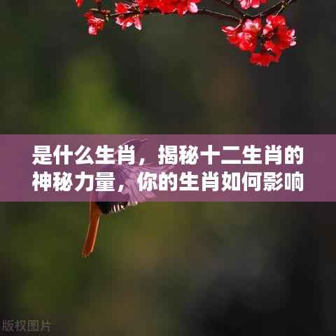 揭秘十二生肖的神秘力量，生肖如何影响你的性格与运势？