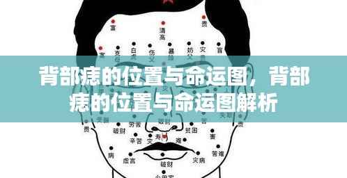 背部痣的位置与命运解析图，揭示命运与痣相的联系