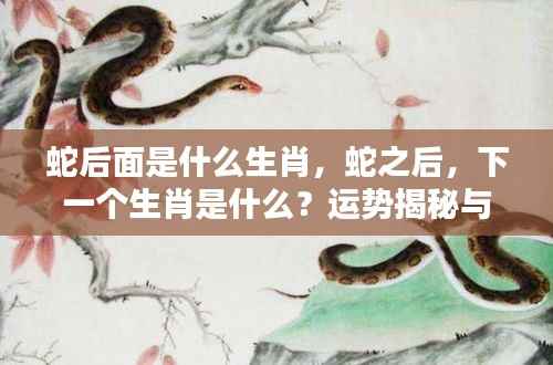 揭秘蛇后生肖,下一个生肖运势解析与揭秘