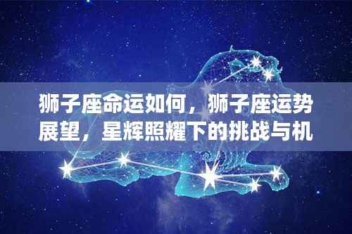 狮子座运势展望,星辉照耀下的挑战与机遇