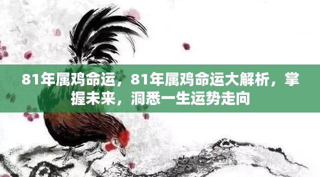 揭秘81年属鸡命运，洞悉一生运势走向大解析