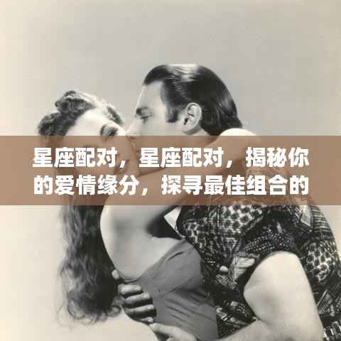 星座配对揭秘,探寻最佳爱情组合的秘密