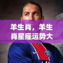 羊生肖星座运势揭秘,顺风顺水的未来展望