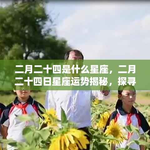 二月二十四日星座运势揭秘，探寻属于你的星辰轨迹与星座运势展望