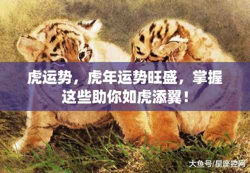 虎年运势旺盛秘籍,掌握这些助你如虎添翼,运势亨通!