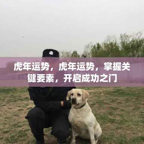 虎年运势揭秘,掌握关键要素,开启成功之门之路