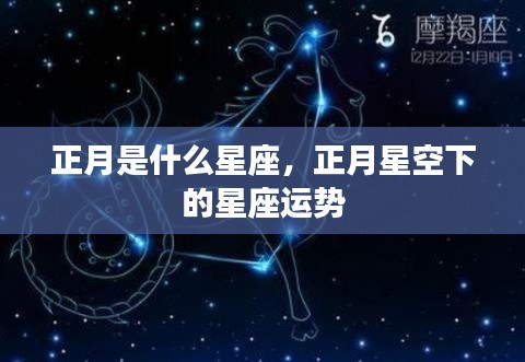 正月星空下的星座运势揭秘,属于你的星座运势展望