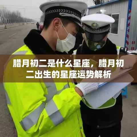腊月初二星座运势解析，探寻星座运势之旅