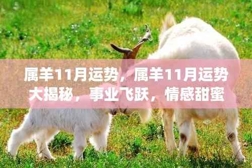 属羊人11月运势展望,事业飞跃与情感甜蜜大揭秘