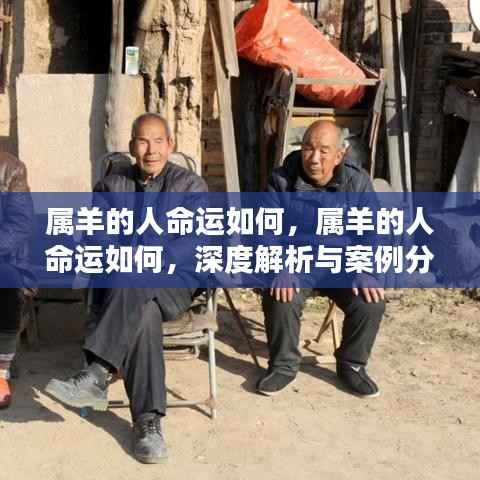 属羊人的命运深度解析与案例分享，探寻命运轨迹，洞悉羊年人生运势