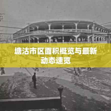 塘沽市区面积概览与最新动态速览