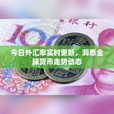 今日外汇率实时更新,洞悉全球货币走势动态