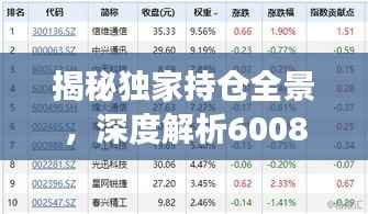 揭秘独家持仓全景,深度解析600816股票持仓布局
