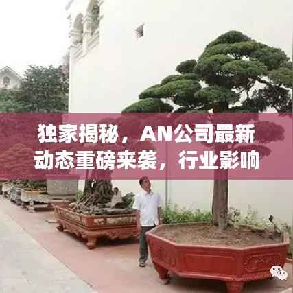 独家揭秘,AN公司最新动态重磅来袭,行业影响深远!