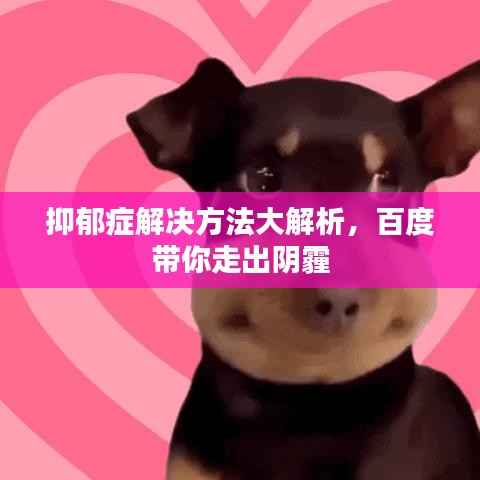 抑郁症解决方法大解析,百度带你走出阴霾