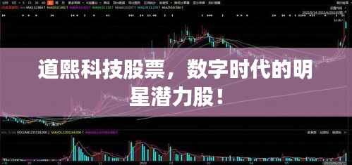道熙科技股票,数字时代的明星潜力股!