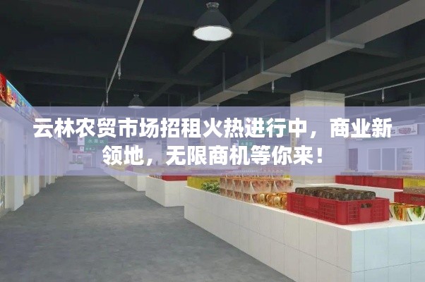 云林农贸市场招租火热进行中,商业新领地,无限商机等你来!