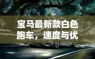宝马最新款白色跑车,速度与优雅完美融合