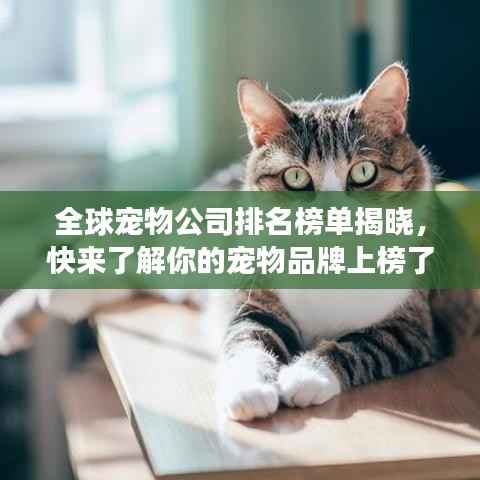 全球宠物公司排名榜单揭晓,快来了解你的宠物品牌上榜了吗?