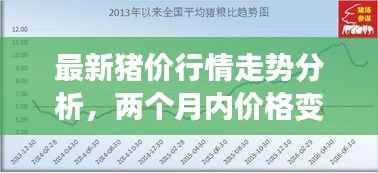 最新猪价行情走势分析,两个月内价格变动揭秘