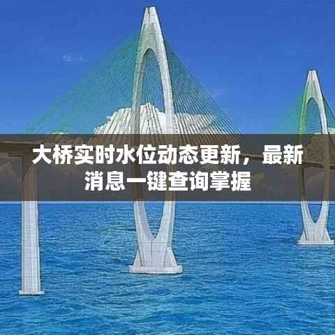 大桥实时水位动态更新,最新消息一键查询掌握