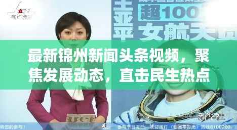最新锦州新闻头条视频，聚焦发展动态，直击民生热点（18号独家报道）